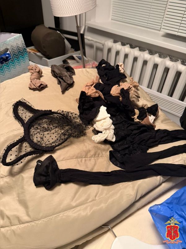 В Ленобласти полицейскими задержан подозреваемый в противоправных действиях в отношении несовершеннолетних