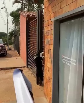       :  ,    ,    -  ,       !