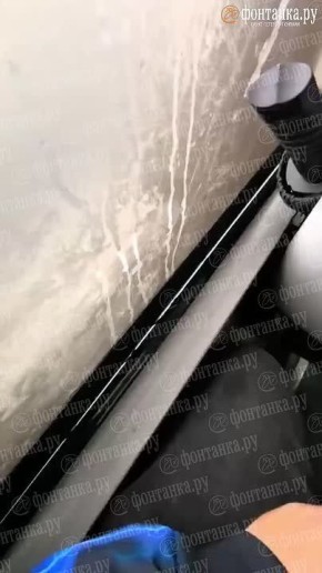   :     ,   