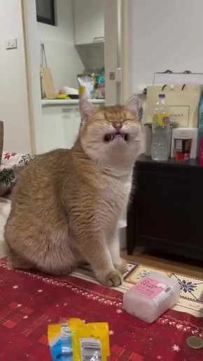  :   .. , !