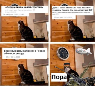  :    -     -  :