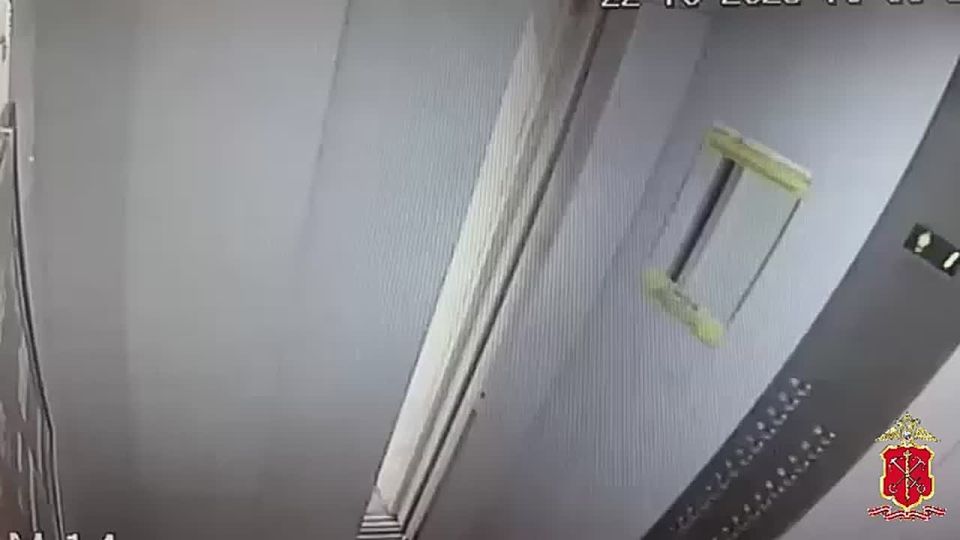 Полицией Петербурга задержан мужчина, напавший на подростка в лифте дома в посёлке Парголово
