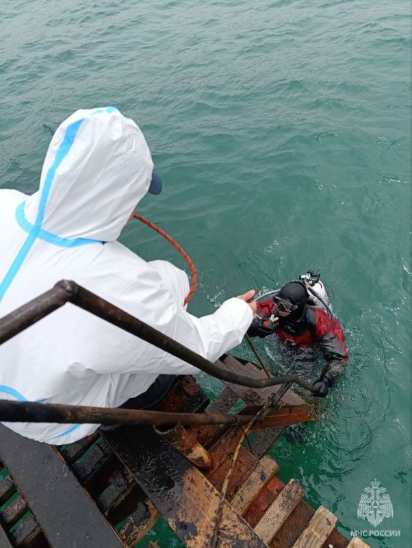 ,   -   ..  #_       ,   ,     ,   ...