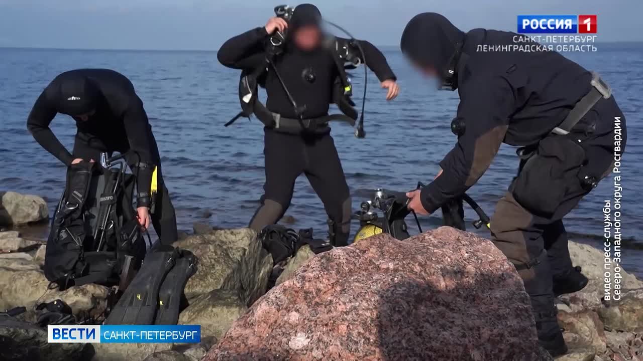 Спецназ Росгвардии отработал тактику ведения боя под водой