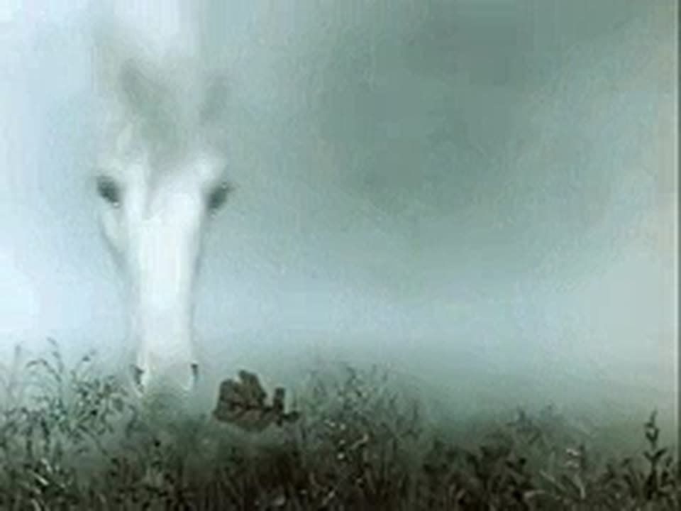 #_ :    &quot;- &quot;,  -        500   