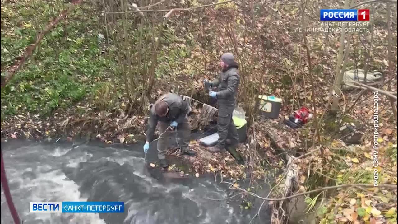 Инспекторы Росприроднадзора нашли источник загрязнения Охты