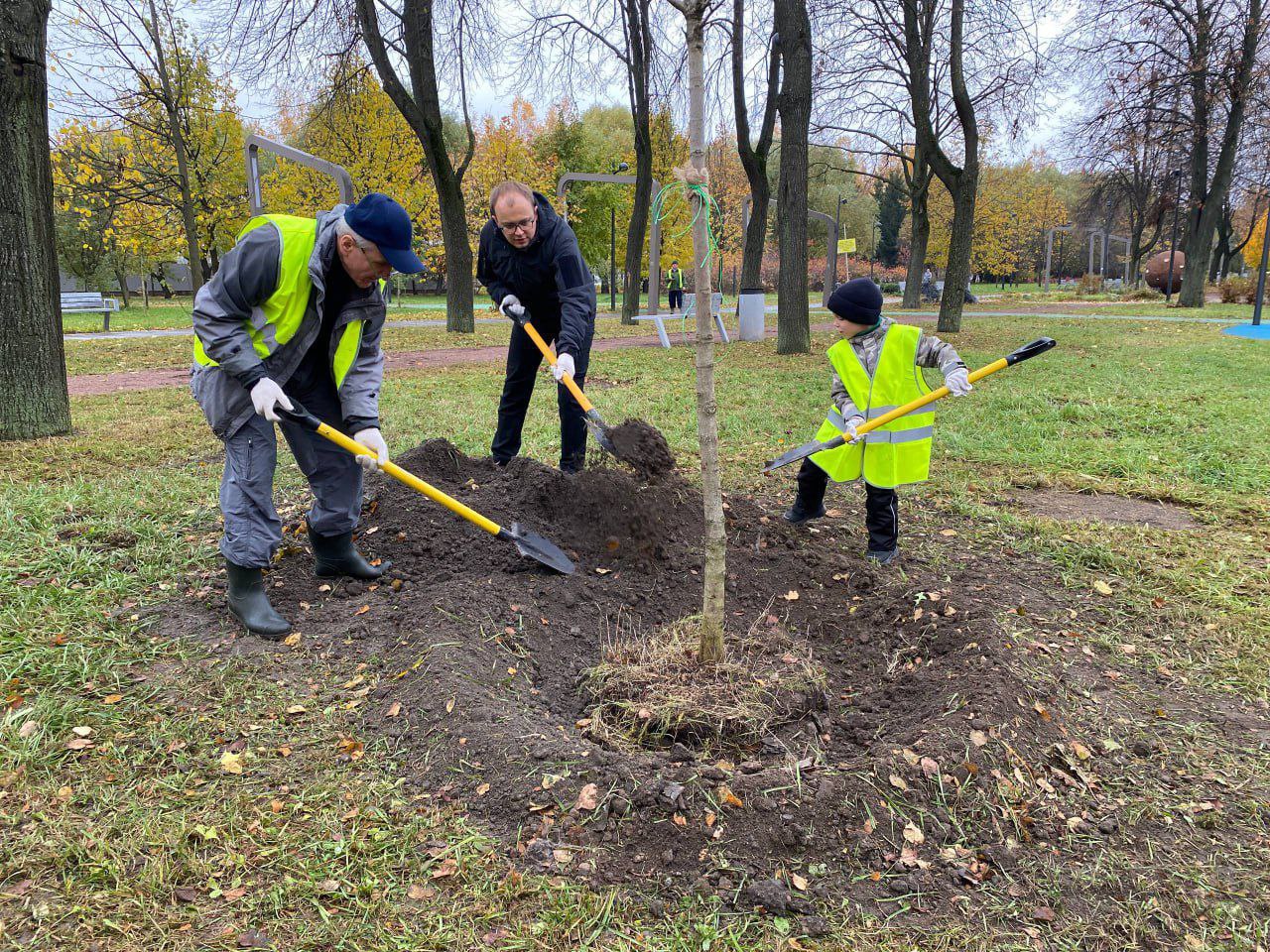 В Петербурге прошел общегородской День благоустройства В Петербурге прошел общегородской День благоустройства