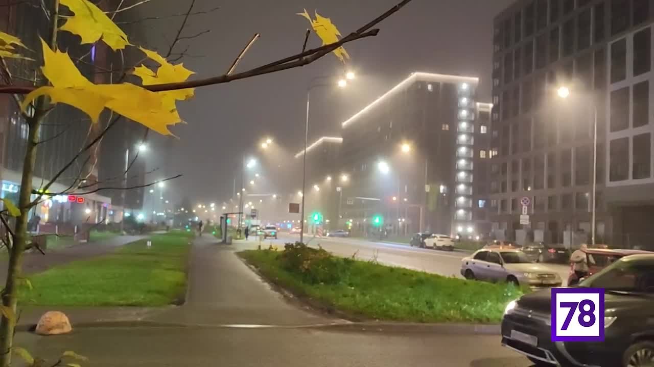 Плотный туман окутал улицы Петербурга