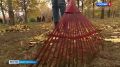 В Петербурге прошел общегородской субботник