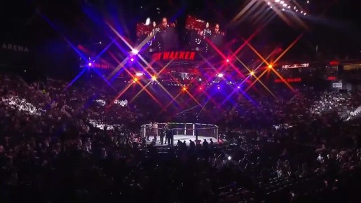 Бразилец Вальтер Уокер на UFC 321 снова эффектно вышел под «Матушку Землю»