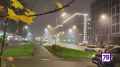 Плотный туман окутал улицы Петербурга