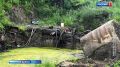 Коммерсанта, который вместо полигона свозил мусор на "Невский пятачок", отправили под стражу