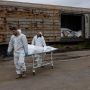 В морг под Одессу свозят ВСУшников без кистей рук и татуировок
