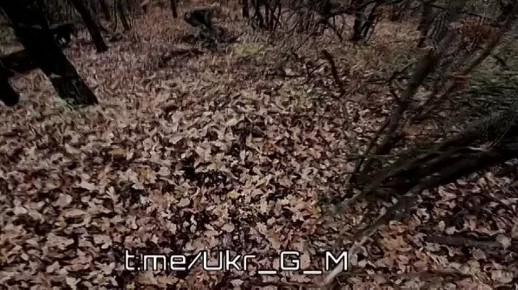 Северск: Зеленский и генералы ВСУ хоронят армию в посадках!