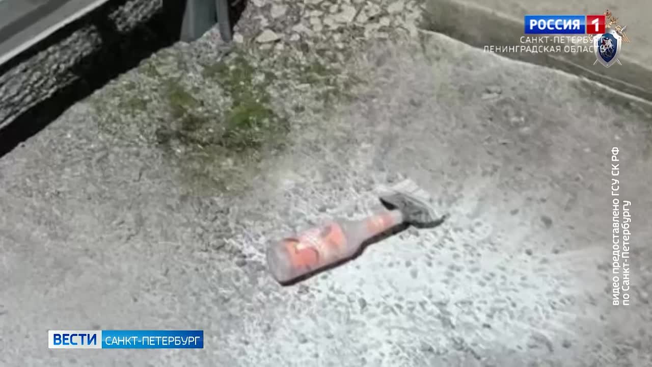 В Петербурге избрали меру пресечения Диане Чистяковой, которая пыталась поджечь здание МВД