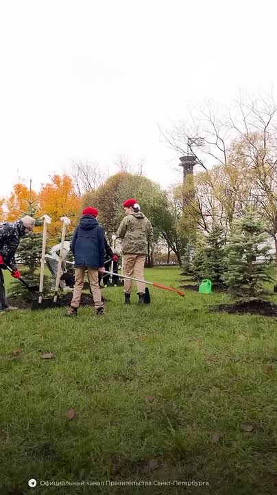 В Петербурге прошел общегородской День благоустройства