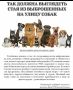 Андрей Медведев: Есть еще одна, довольно широко распространенная манипуляция зоозащитников