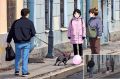 Фотограф Михаил Огнев запечатлел историю про пёселя и шарик