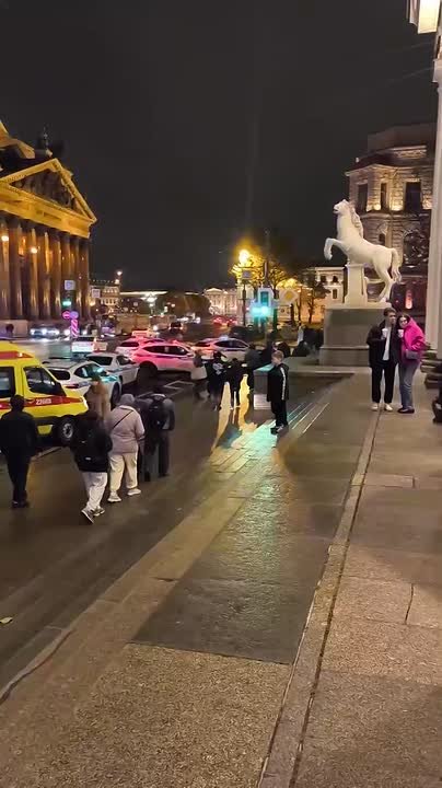 Петербурженка случайно отправила сотрудника ГАИ в реанимацию