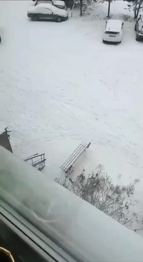В Тынде уже полный «Джингл белс» — олени снуют по городу, видимо, в поисках Деда Мороза