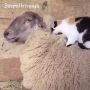 Сегодня мы хотим пожелать, чтобы всё тепло, которое мы получаем и отдаём, зарождалось исключительно в атмосфере любви и взаимности