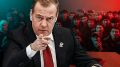 С мигрантами пора навести порядок: На комиссию во главе с Медведевым возложили большие надежды
