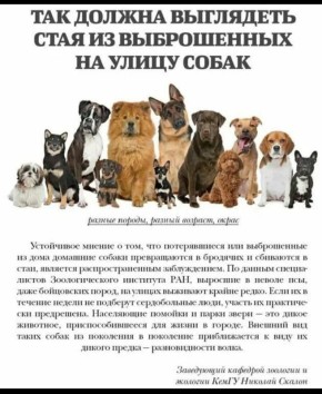 Андрей Медведев: Есть еще одна, довольно широко распространенная манипуляция зоозащитников