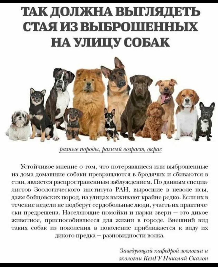 Андрей Медведев: Есть еще одна, довольно широко распространенная манипуляция зоозащитников