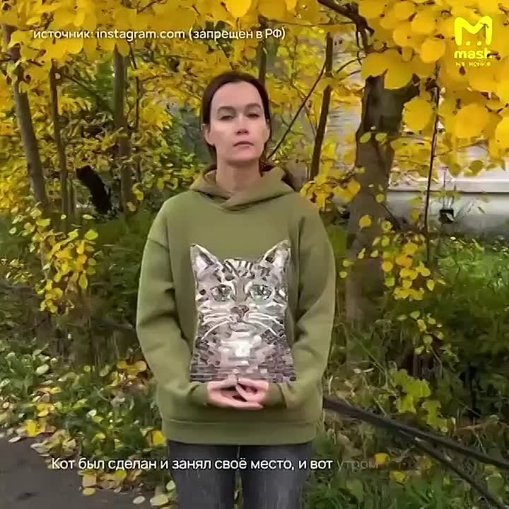 Петербурженка сделала милейшего мозаичного кота, чтобы украсить свой двор в Московском районе — на фасаде хвостатый не провисел и суток