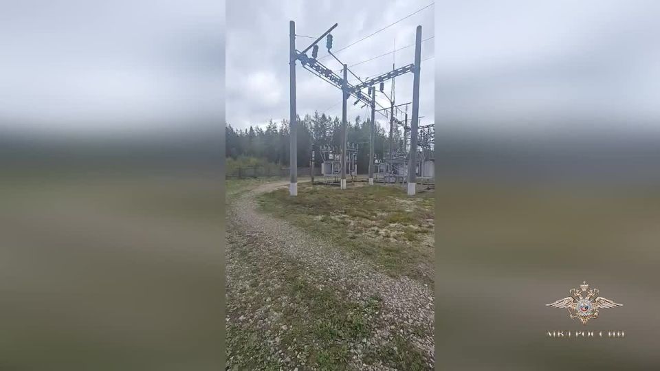  :       ,   ,      -