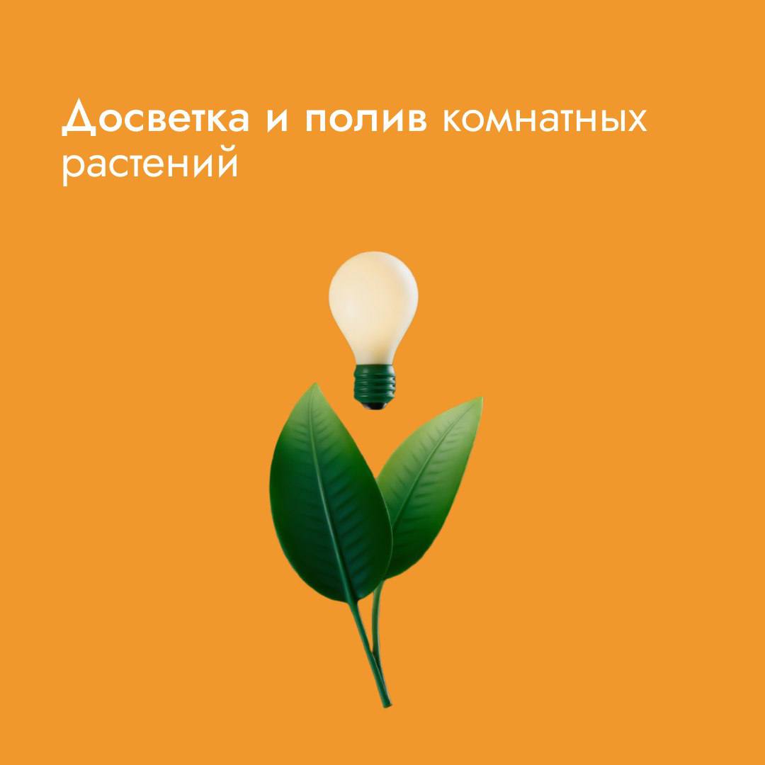 Стремительное сокращение дня, жаркое отопление, сквозняки – всё это пагубно влияет на комнатные растения