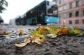 «Мы вошли в привычную петербургскую осень»