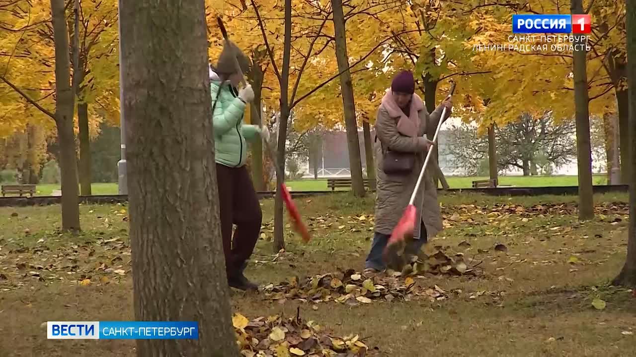 Более 170 тысяч петербуржцев приняли участие в общегородском субботнике