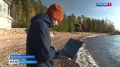 На базе Петербургского морского технического университета тестируют водный беспилотник