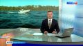 На учебно-научной базе СПбГМТУ тестируют инновационный водный беспилотник