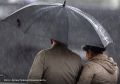 Циклон сохранит дождливую погоду в Петербурге 27 октября