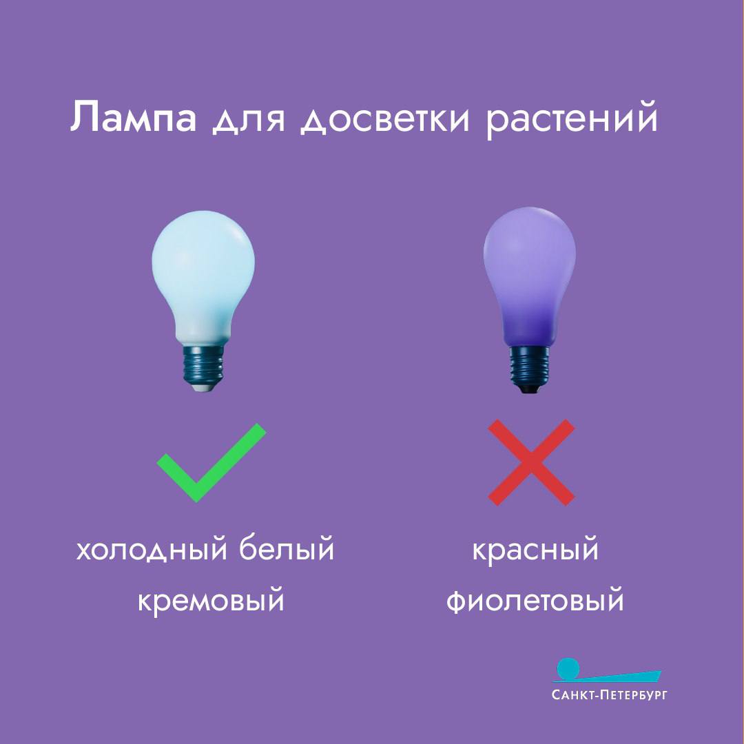 Стремительное сокращение дня, жаркое отопление, сквозняки – всё это пагубно влияет на комнатные растения Стремительное сокращение дня, жаркое отопление, сквозняки – всё это пагубно влияет на комнатные растения