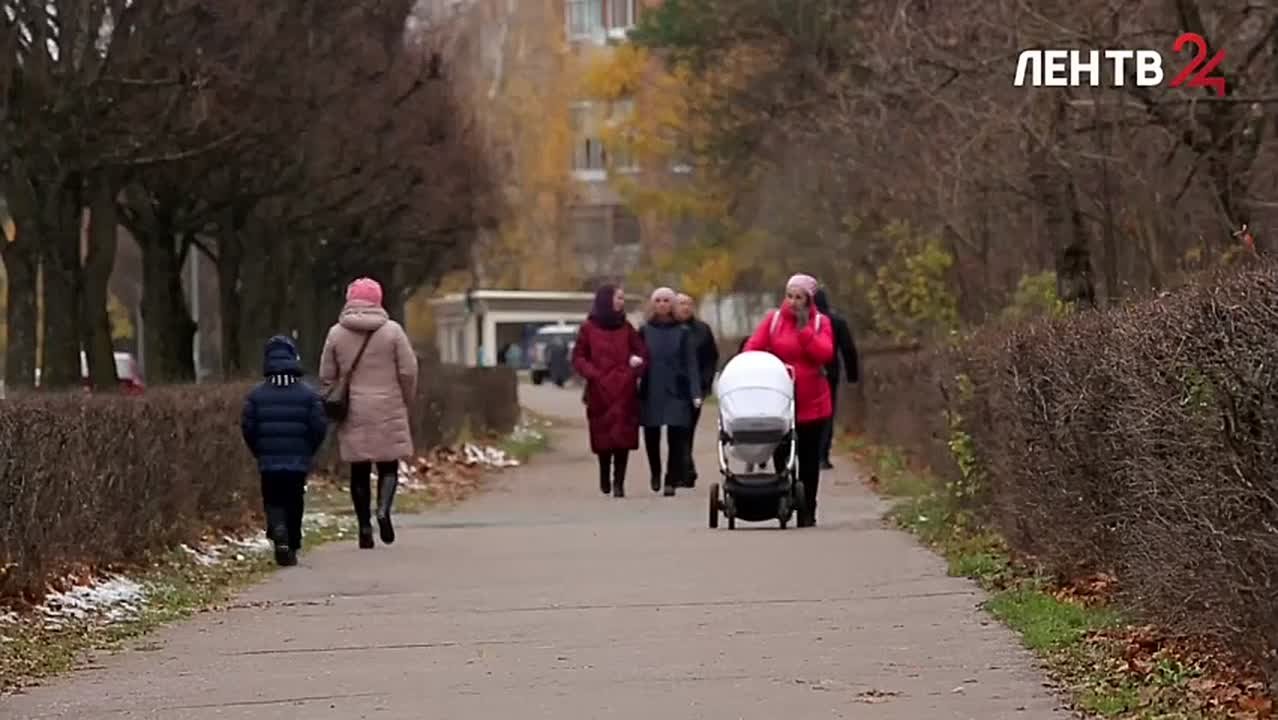 В России за последние 5 лет доступность экстра-корпоральных методов оплодотворения выросла на 46%