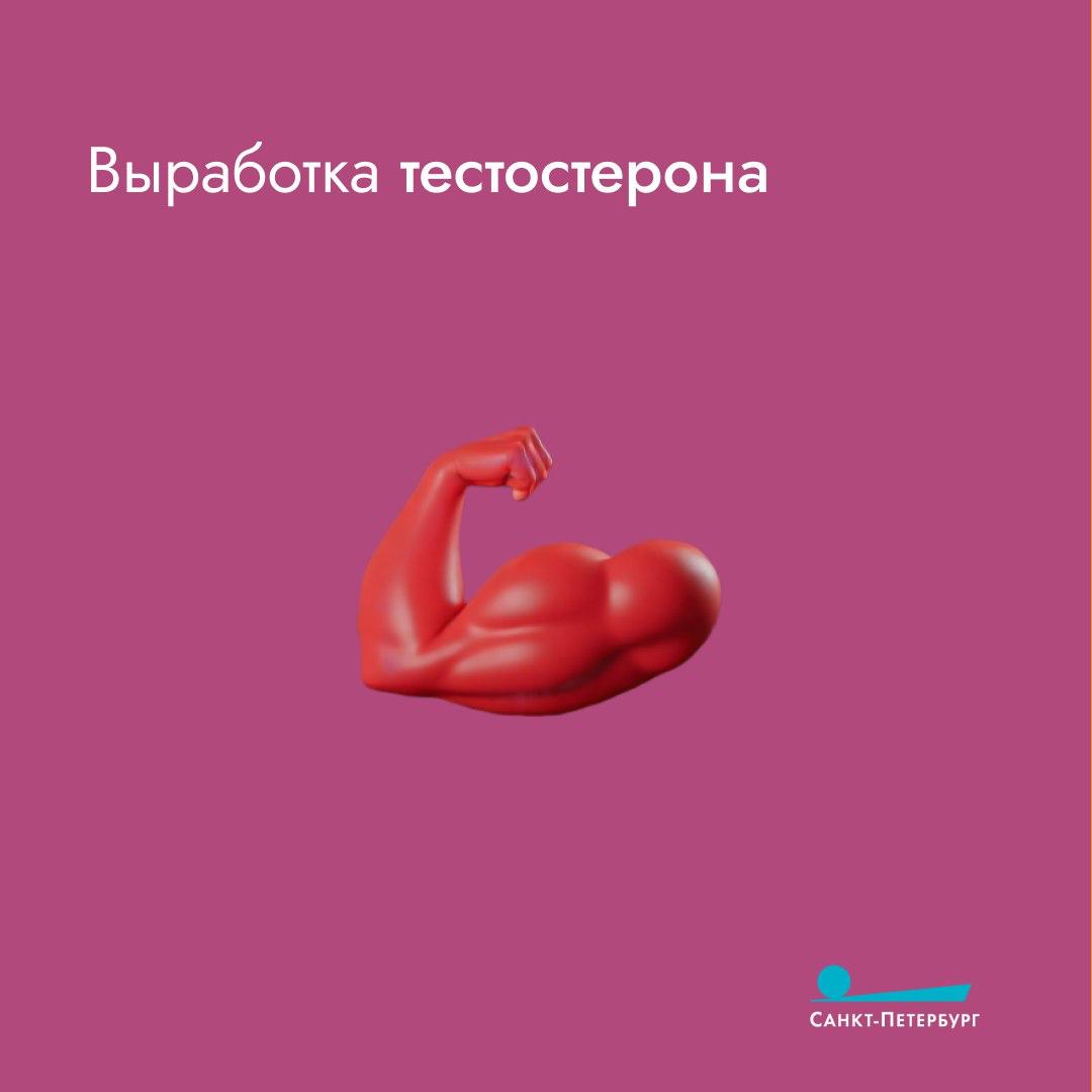 Хороший сон является неотъемлемой частью здорового образа жизни Хороший сон является неотъемлемой частью здорового образа жизни