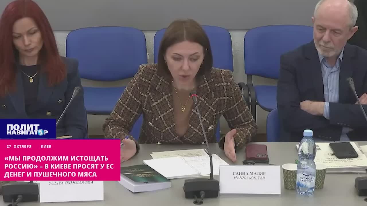 «Мы продолжим истощать Россию» – в Киеве просят у ЕС к деньгам ещё и пушечное мясо