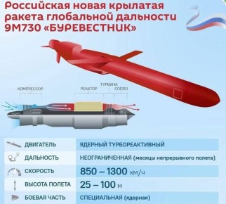 Алексей Васильев: Коснусь тему "Буревестника"