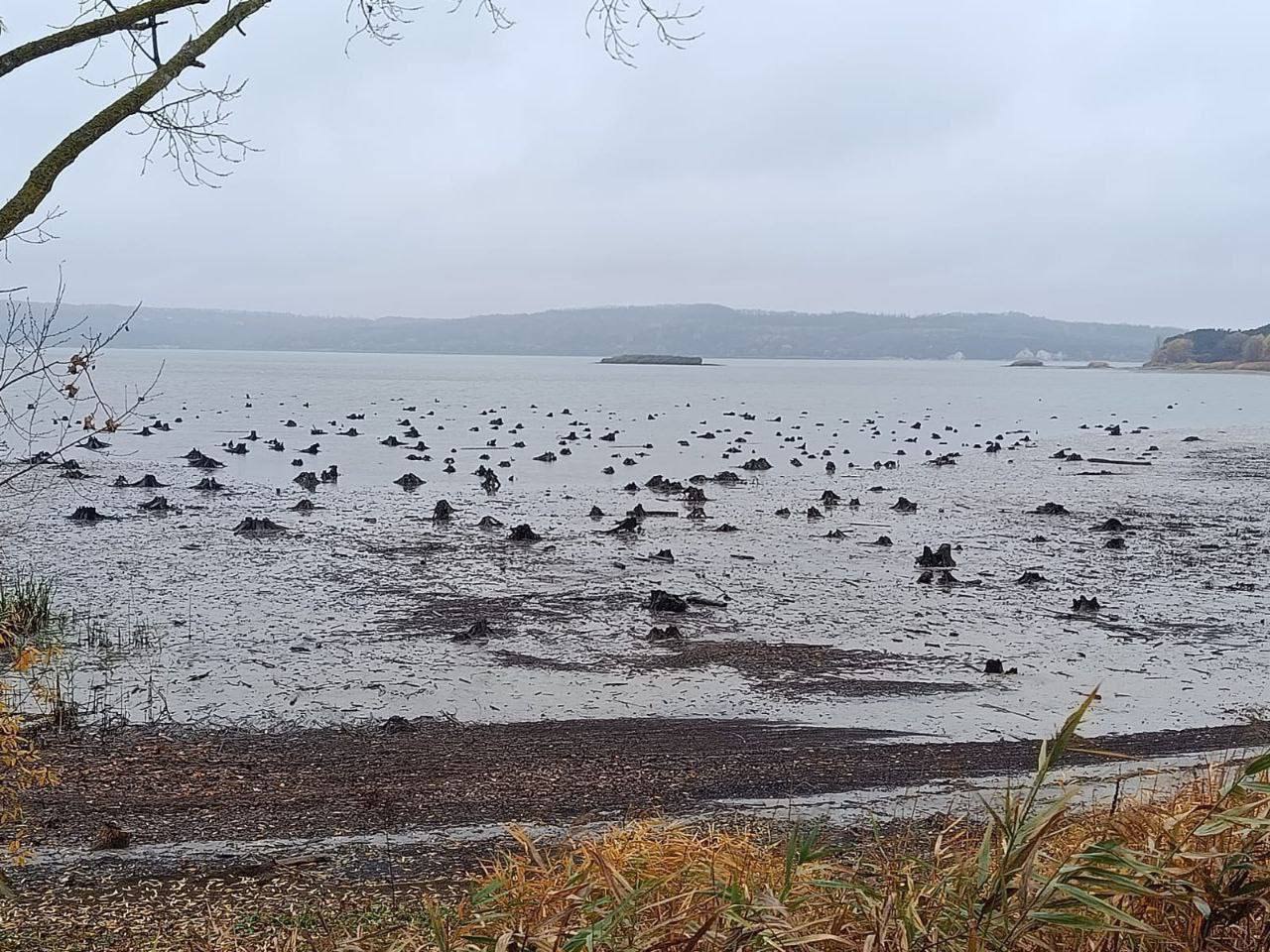 Юрий Баранчик: В связи с обстрелами Белгородского водохранилища со стороны ВСУ введен режим ЧС Юрий Баранчик: В связи с обстрелами Белгородского водохранилища со стороны ВСУ введен режим ЧС