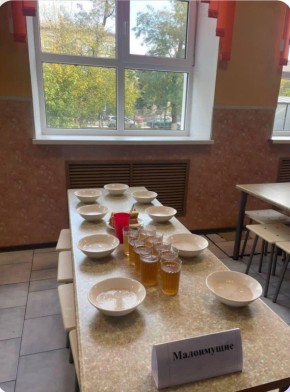 Олег Царёв: Фото из школьной столовой города Азова Ростовской области