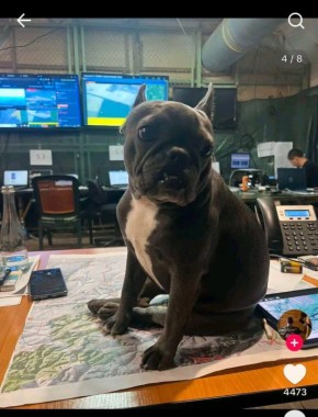 Дмитрий Стешин: Фото знатного ВСУ-шника пана Манько с секретными картами и планшетами, отнюдь не случайно