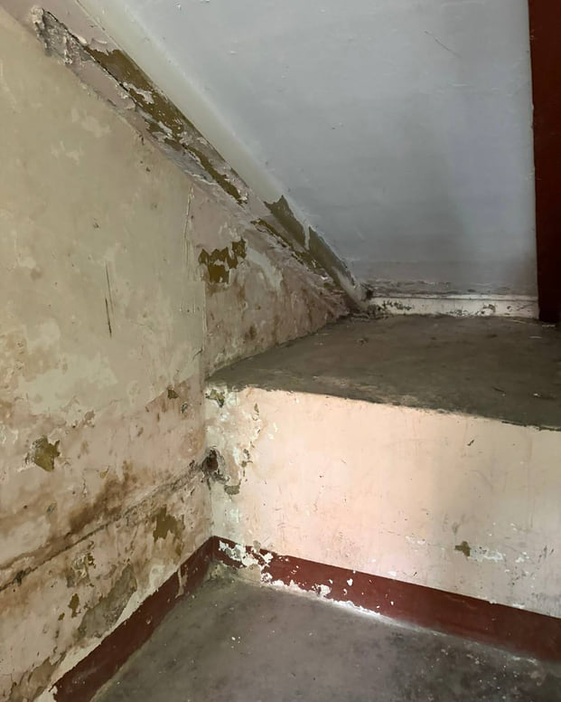 Прокуратура потребовала устранить нарушения в доме, где расположена «Камчатка» Прокуратура потребовала устранить нарушения в доме, где расположена «Камчатка»