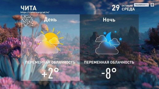 Я люблю большие дома. И узкие улицы города, —