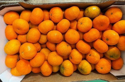 Почти 20 тонн мандаринов из ЮАР не прошли контроль в петербургском порту