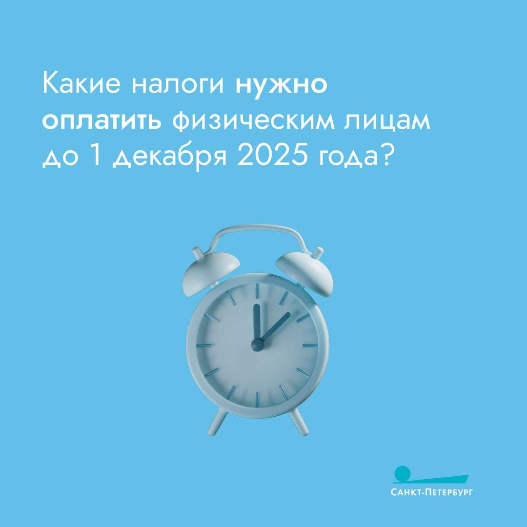 1 декабря истекает срок уплаты налога на имущество физических лиц, транспортного и земельного налогов 1 декабря истекает срок уплаты налога на имущество физических лиц, транспортного и земельного налогов