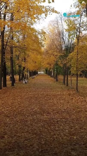 Сегодня в Северной столице до 6 градусов тепла и облачно