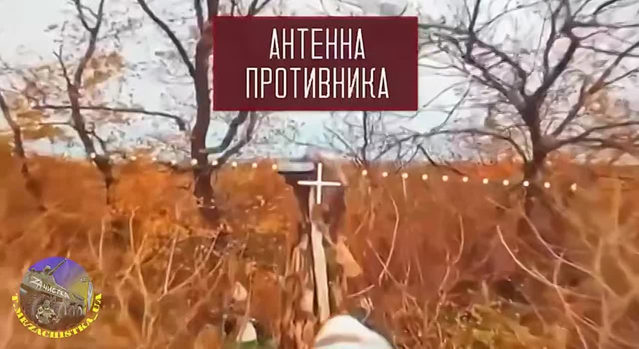 Операторы дронов поделились результатами своей работы на одном из участков фронта в зоне СВО: